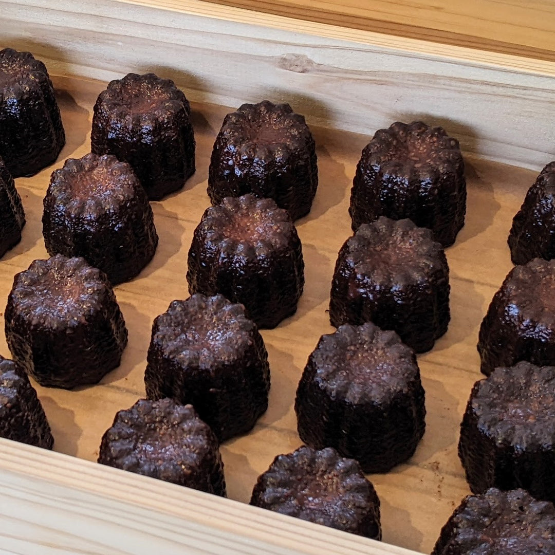美しく美味しい風景を残す稲作ファーム「稲作本店」