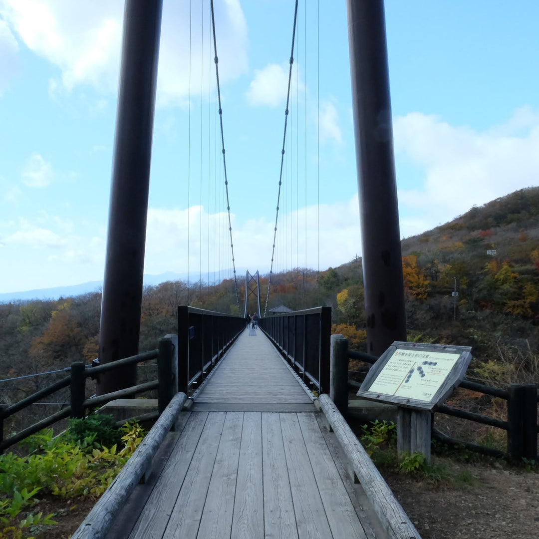 つつじ吊橋