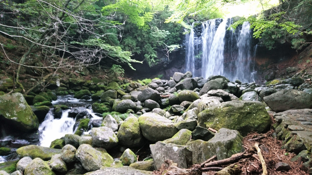 知る人ぞ知る那須の癒しスポット 『乙女の滝』