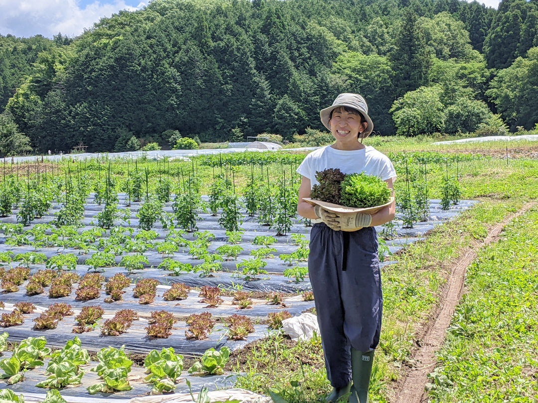 自然のリズムに寄り添う『きくち農園』