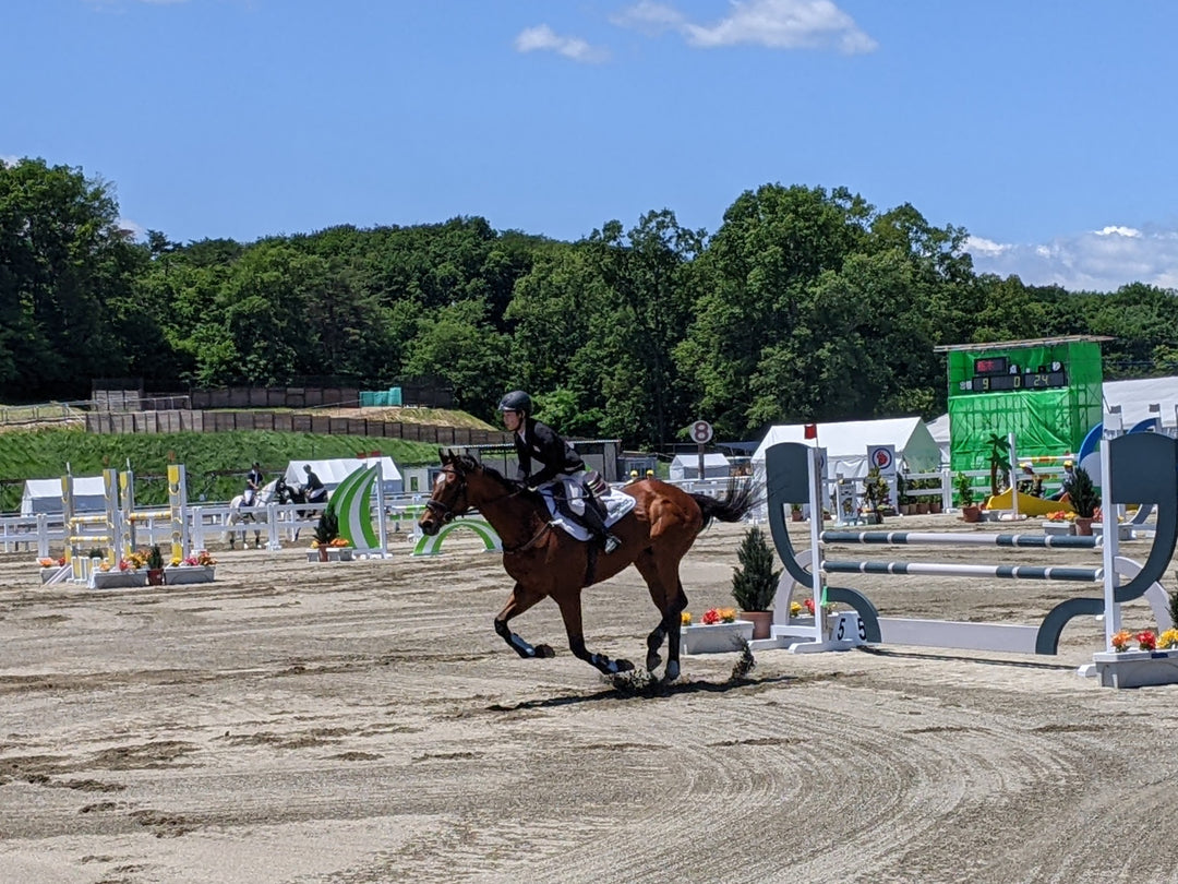 いちご一会とちぎ国体 『馬術競技リハーサル大会』に潜入