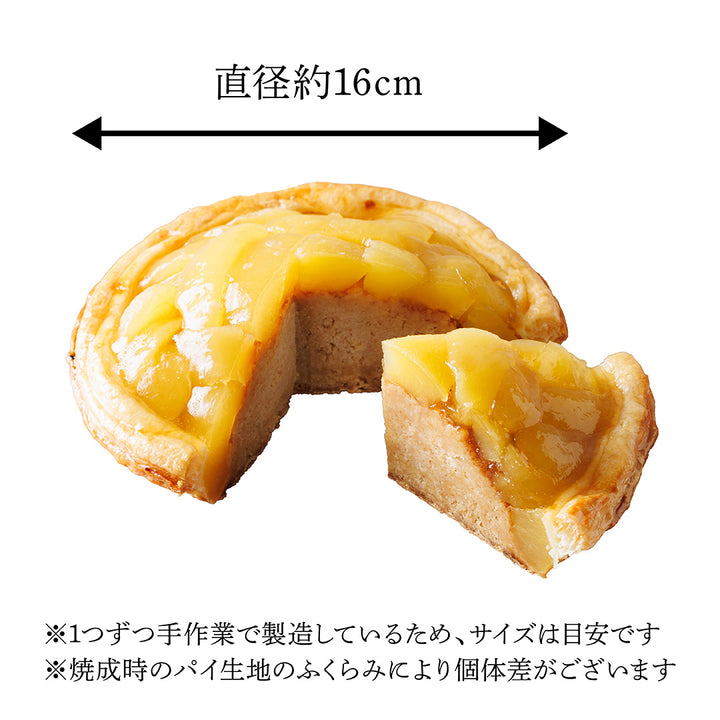 【9/27日曜12:00～WEB数量限定販売】あっぷるぱい（塩原珈琲限定商品）